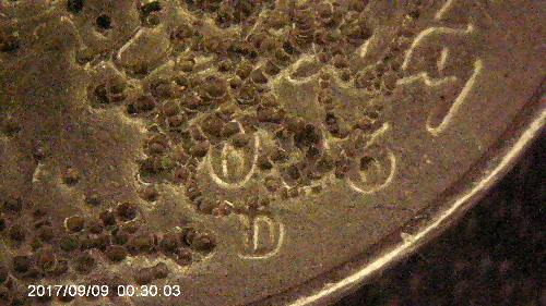 2006-D-Jefferson-Nickle